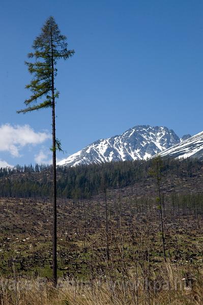 Tatra 0081.jpg